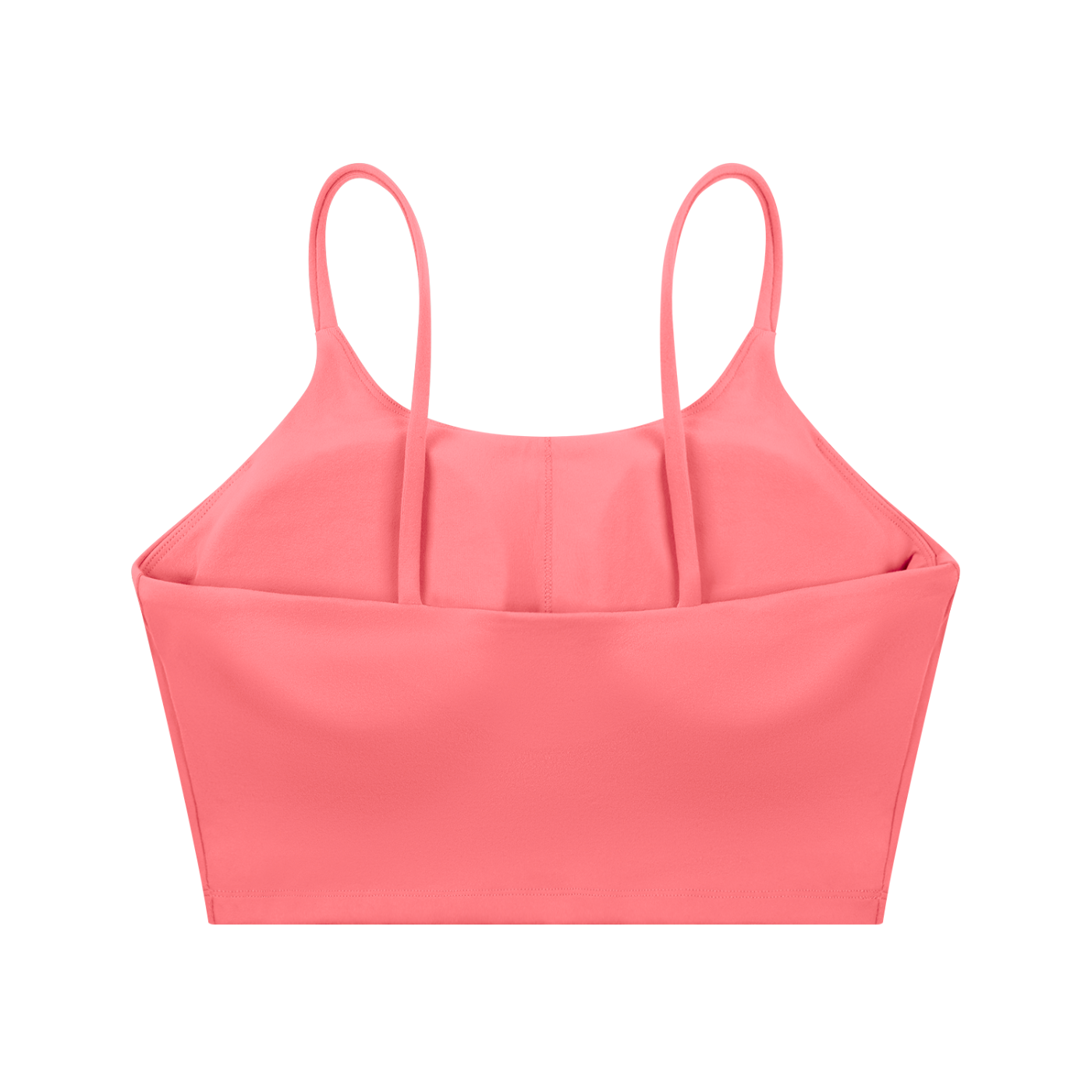 Transcend Sports Bra